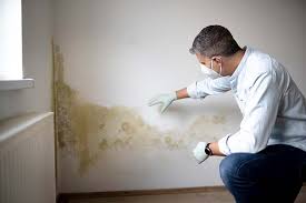 Best Comprehensive Air Testing for Mold Contaminants  in Castle Rock, CO